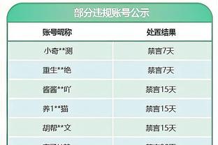 邮报评分切尔西伯利时代引援：帕尔默7分最高 恩佐、斯特林5分